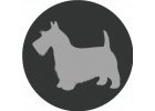 Scottish Terrier