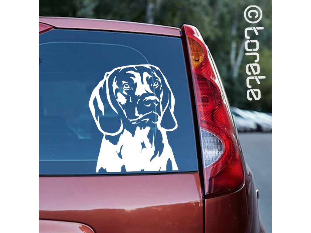 Bayerischer Gebirgsschweißhund BGS Aufkleber PFOTEN WEG Hundeaufkleber  Folie Stickersticker Hund Hunde Dog Reflex Leuchtetklein 9 Cm 