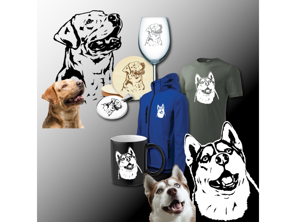 převod dat do vektoru daotvý soubor vektor vektory vector podle fotky z fotky by photo