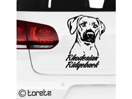 Rhodesian Ridgeback sticker aufkleber   naklejka na samochód    autómatrica  autocollant de voiture