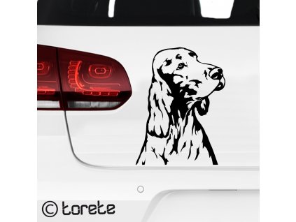 Irský setr nálepka - Irish Red Setter sticker aufkleber