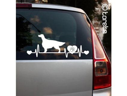 Irský setr nálepka-Irish Red Setter Aufkleber - irish setter sticker
