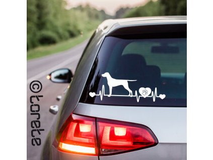 Maďarský ohař nálepka - Maďarský stavač lepka - Kurzhaariger Ungarischer Vorstehhund aufkleber - magyar vizsla sticker