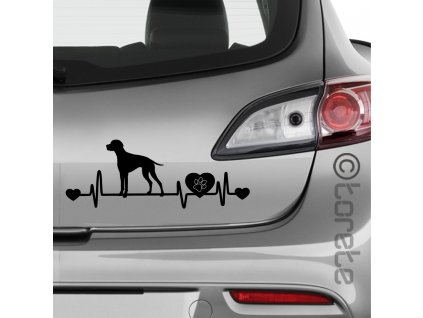 Pointer nálepka - English Pointer Aufkleber sticker