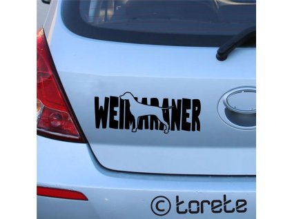 Výmarský ohař nálepka - Weimaraner Aufkleber sticker