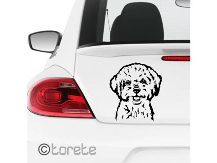 Bišonek nálepka - Bichon frise Aufkleber - Bichon frise sticker -