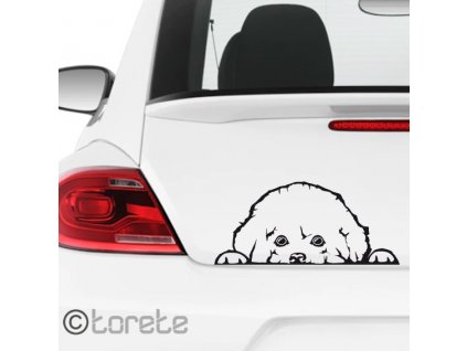 Bichon Frisé sticker - Bišonek nálepka-Bichon Aufkleber