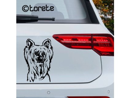 Čínský chocholatý pes nálepka-Chinese Crested Dog sticker--Chinesischer Schopfhund Aufkleber