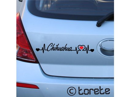 Chihuahua sticker aufkleber