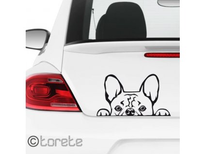 Francouzský buldoček nálepka-Französische Bulldogge Aufkleber - French Bulldog sticker