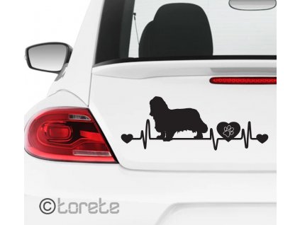 Kavalír King Charles španěl nálepka-Cavalier King Charles Spaniel Aufkleber sticker