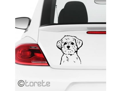 Malteser Aufkleber - Maltézáček nálepka - Maltese dog sticker