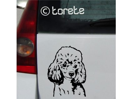 Pudl nálepka - Pudel Aufkleber - Poodle sticker