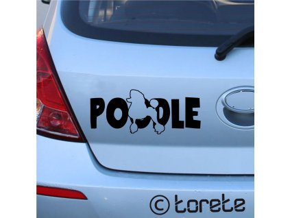 poodle sticker - Pudl nálepka-Pudel Aufkleber