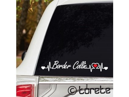 border collie sticker aufkleber
