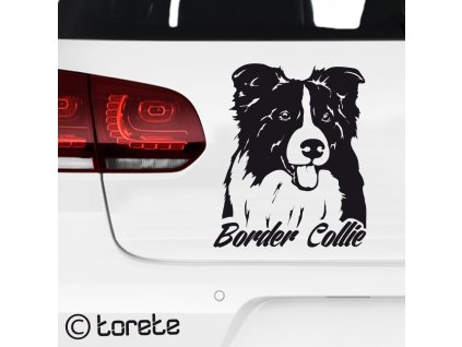 Border Collie sticker aufkleber