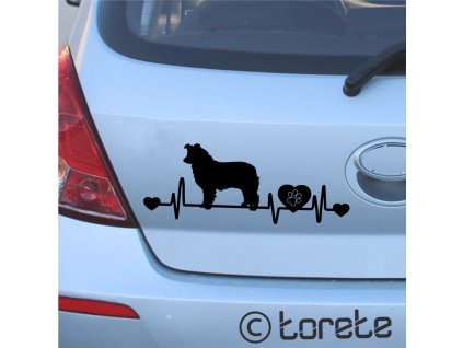 Border kolie nálepka-Border Collie Aufkleber - border collie sticker