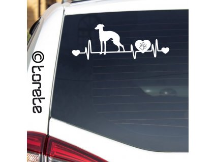 Italský Chrtík nálepka - Italienisches Windspiel Aufkleber - Italian Greyhound sticker