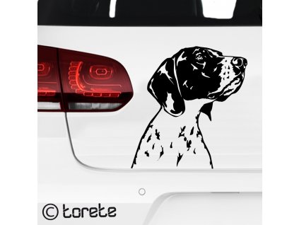 Braque d’Auvergne Aufkleber Auvergne Pointing Dog sticker Auvergneský ohař nálepka