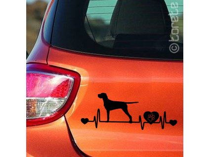 Auvergne Pointer sticker -Auvergneský  stavač lepka - Auvergneský ohař nálepka-Braque d’Auvergne Aufkleber
