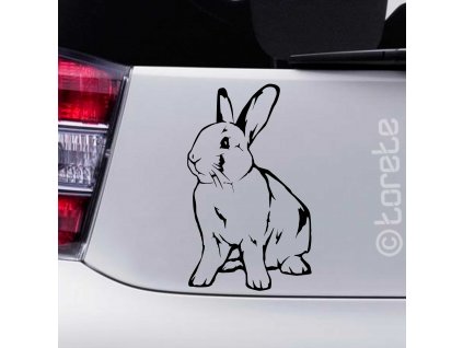 Nálepka králík Zakrslý králíček -Aufkleber Kaninchen Zwergkaninchen - Dwarf rabbit sticker