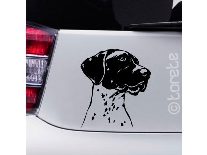 Nemecký krátkosrstý stavač lepka - German Shorthaired Pointer sticker - Deutsch Kurzhaar Aufkleber - Německý krátkosrstý ohař nálepka