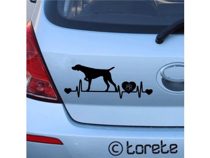Německý ohař krátkosrstý nálepka -Deutsch Kurzhaar Aufkleber - German Shorthaired Pointer sticker