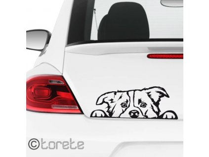 Border kolie nálepka-Border Collie Aufkleber - border collie sticker