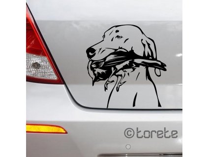 Maďarský ohař nálepka - Kurzhaariger Ungarischer Vorstehhund Aufkleber - magyar vizsla sticker - Maďarský stavač lepka