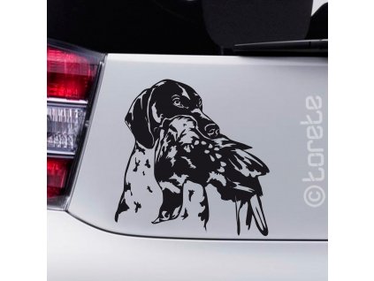 Německý ohař krátkosrstý nálepka - Deutsch Kurzhaar Aufkleber - German Shorthaired Pointer sticker