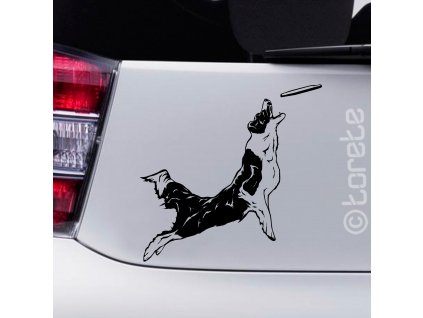 Border kolie nálepka-Border Collie Aufkleber - border collie sticker