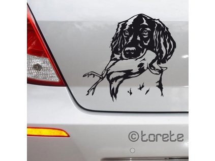 Malý münsterlandský ohař nálepka-Kleiner Münsterländer Aufkleber - Small Münsterländer sticker
