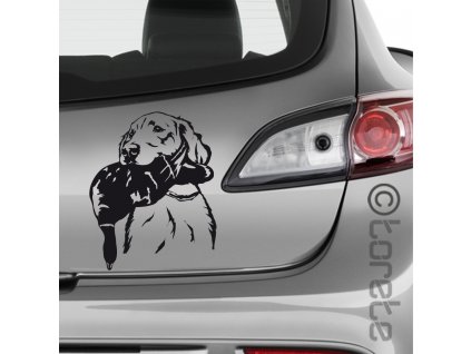 Zlatý retrívr nálepka - Golden Retriever Aufkleber sticker  naklejka na samochód    autómatrica  autocollant de voiture