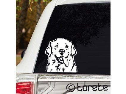 Zlatý retrívr nálepka - Golden Retriever Aufkleber sticker  naklejka na samochód    autómatrica  autocollant de voiture