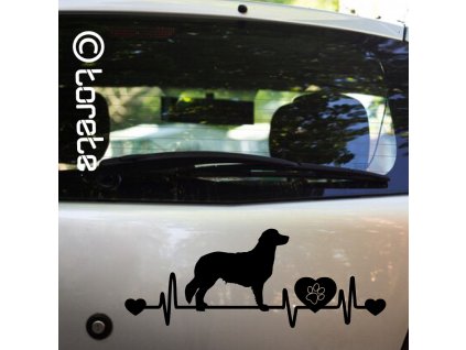 Kooikerhondje sticker nalepka aufkleber