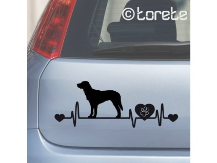 Nemecký dlhosrstý stavač lepka - German Longhaired Pointer sticker - Deutsch Langhaar aufkleber - Německý ohař dlouhosrstý nálepka