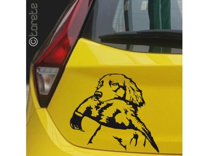 Nemecký dlhosrstý stavač lepka - German Longhaired Pointer sticker - Deutsch Langhaar aufkleber - Německý ohař dlouhosrstý nálepka