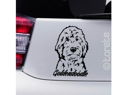 goldendoodle nalepka sticker aufkleber