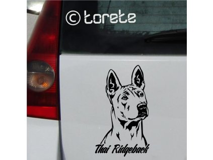 thai ridgeback sticker aufkleber  naklejka na samochód    autómatrica  autocollant de voiture
