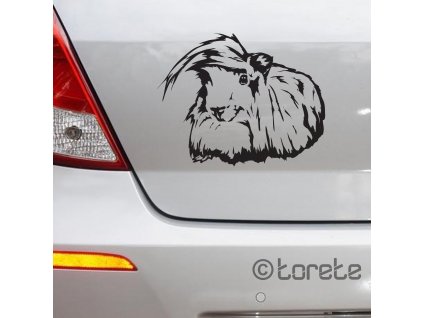 Dlouhosrsté morče Morče nálepka - Meerschweinchen  Langhaar Hausmeerschweinchen Aufkleber - Long haired guinea pig sticker