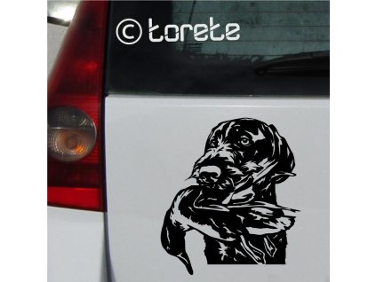 Nemecký drôtosrstý stavač lepka German Wirehaired Pointer sticker Německý ohař drátosrstý nalepka Deutsch Drahthaar aufkleber