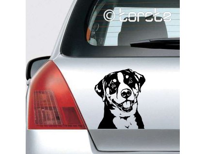 Appenzellský salašnický pes Appenzeller Sennenhund Appenzeller Sennenhund Appenzellský salašnícky pes Appenzeller Appenzelli havasi kutya Bouvier d'Appenzell