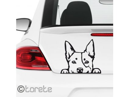 Australian Cattle Dog sticker Australský honácký pes nálepka-Australischer Treibhund Aufkleber