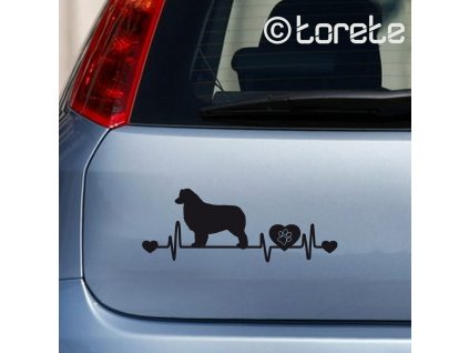 Australian Shepherd sticker - Australský ovčák nálepka-Australischer Schäferhund Aufkleber