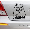 Samojed nálepka Naklejka samojed
