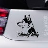 Sibírsky husky lepka