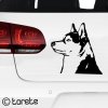 siberian husky aufkleber sticker - sibiřsky husky nalepka - Sibírsky husky lepka