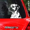 Rodézsky ridžbek lepka - Rhodesian Ridgeback sticker aufkleber - Rhodéský ridgeback nálepka