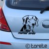 autocollant de voiture Chien courant serbe