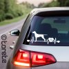 Maďarský ohař nálepka - Maďarský stavač lepka - Kurzhaariger Ungarischer Vorstehhund aufkleber - magyar vizsla sticker